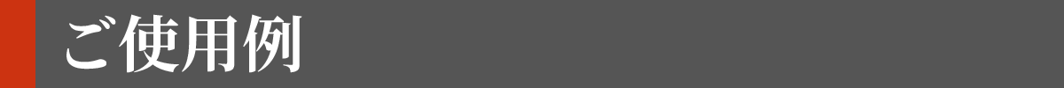 ご使用例
