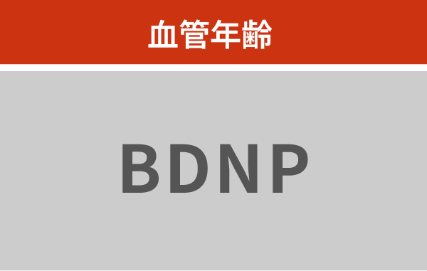 血管年齢BDNP