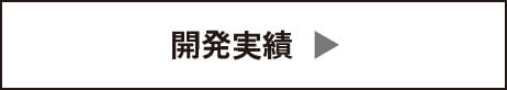 開発実績